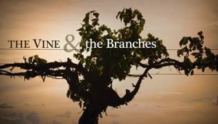 The Vine & the Branches, Part Eight: Parting Words